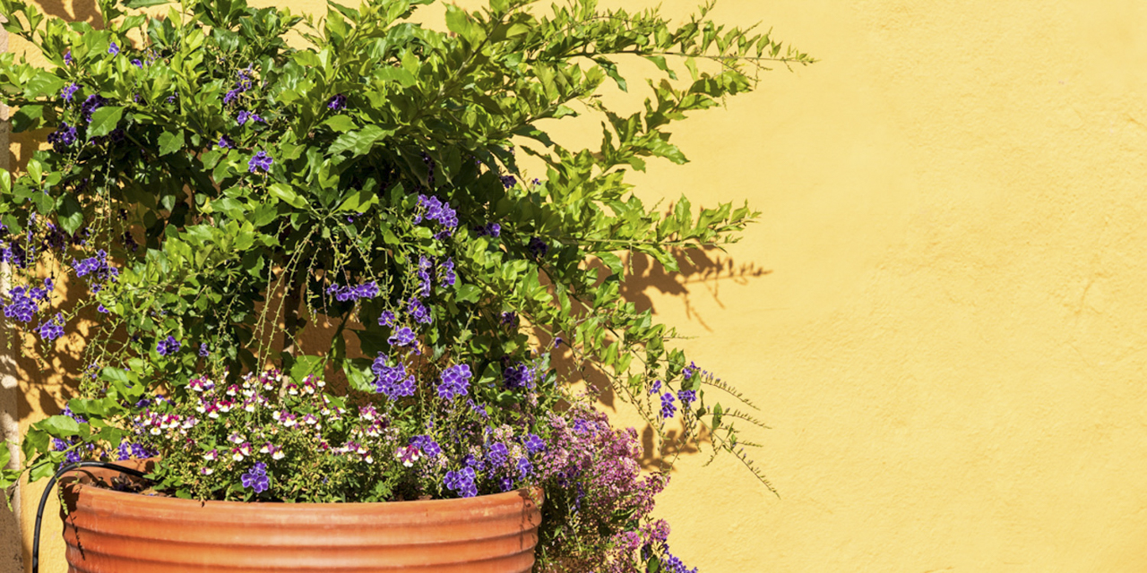 Casa Lucília Ferragudo