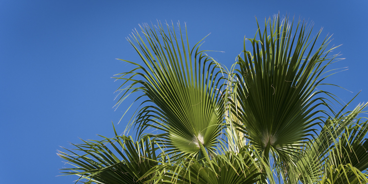 Casa Lucília Ferragudo