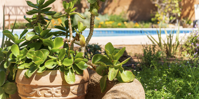 casa Otilia - Ferienhaus