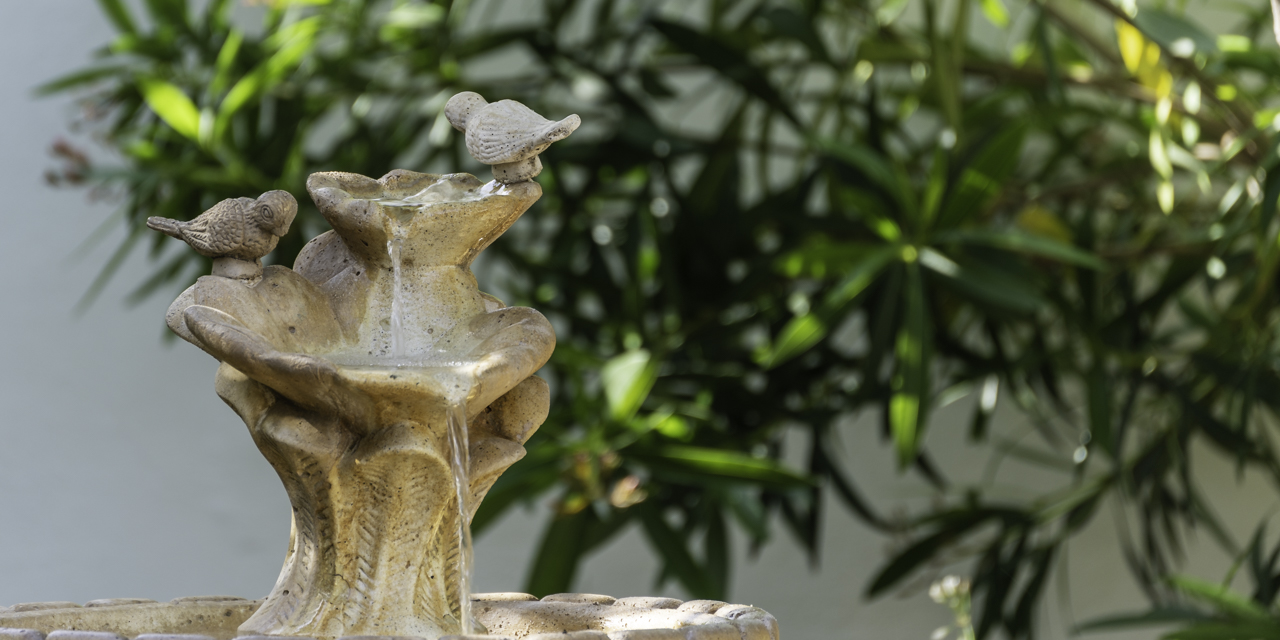 Garten und Pool der OÁSIS - Ferienhaus