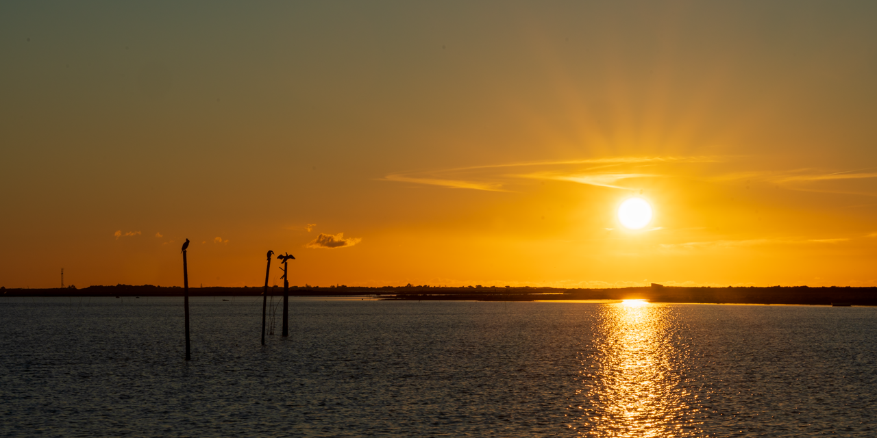 Casa Laranja Oasis Ferragudo