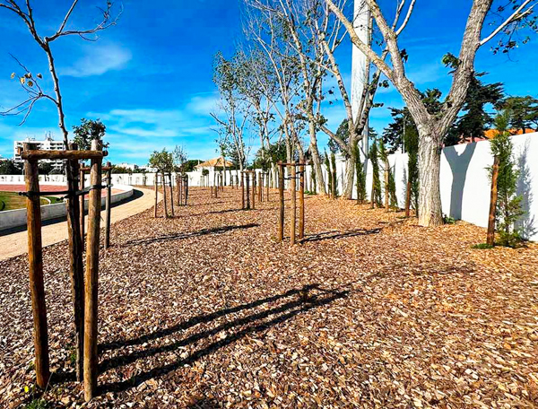 OÁSIS Journal Algarve – Baeume