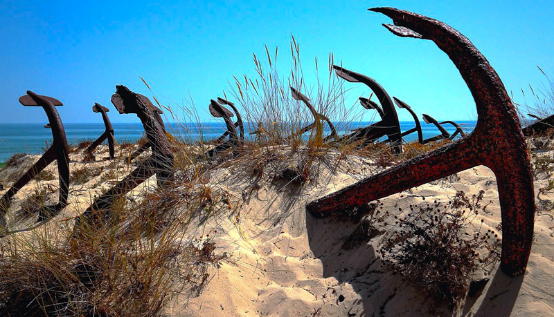 OÁSIS Journal Algarve – Barril