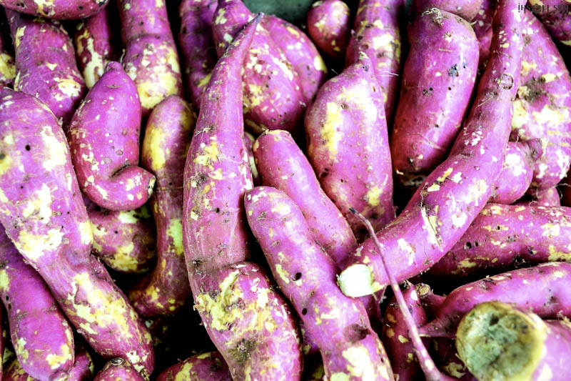 OÁSIS Journal Algarve – Batata Doce