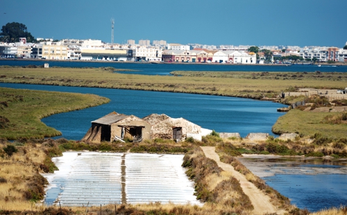 OÁSIS Journal Algarve – Castro Marim