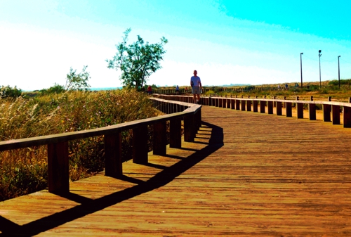 OÁSIS Journal Algarve – Castro Marim