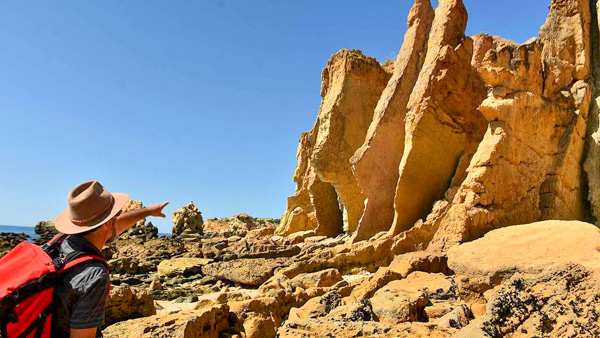 OÁSIS Journal Algarve – Dinos