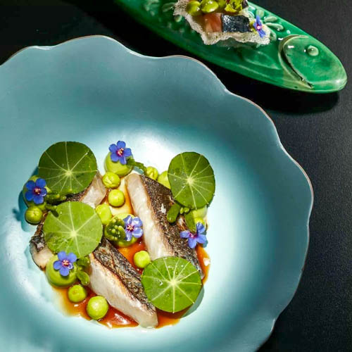 OÁSIS Journal Algarve – Michelin