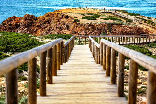 OÁSIS Journal Algarve – Natur 2 202010