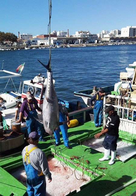 OÁSIS Journal Algarve – Olhao Atum