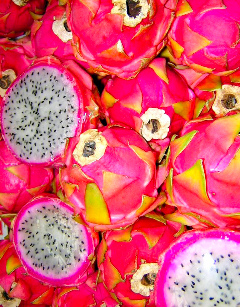 OÁSIS Journal Algarve – Pitaya