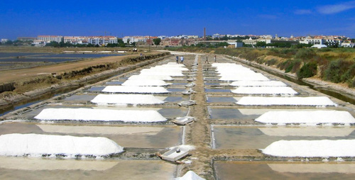 OÁSIS Journal Algarve – Saline