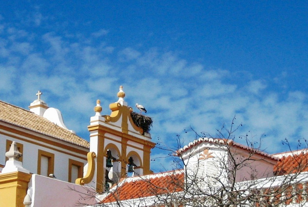 OÁSIS Journal Algarve – Stoerche