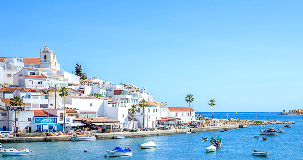 OÁSIS Journal Algarve – Teixeira