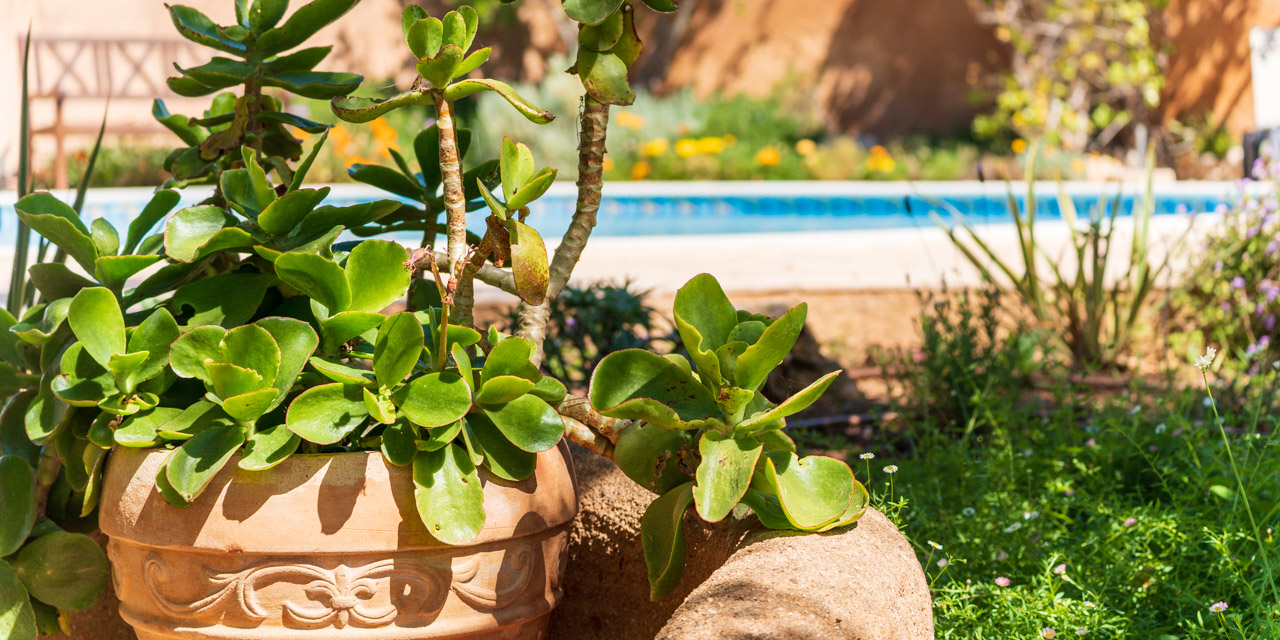 Casa Otília at OÁSIS Garden Village in Ferragudo